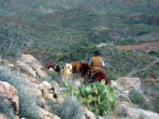 USA-Arizona-Hassayampa River Working Ranch